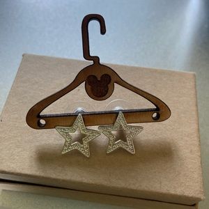 ✨10/$12✨Brand new silver star Studs